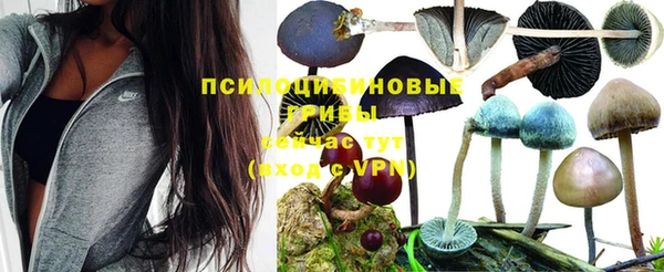 кокаин премиум Коряжма