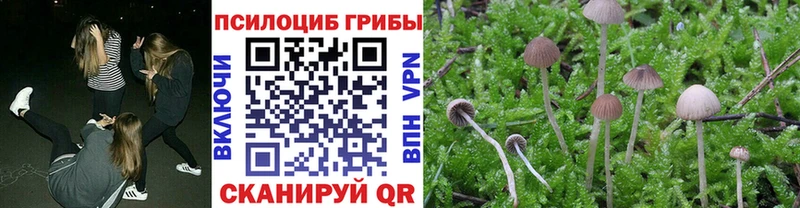 hydra ONION  Чайковский  Псилоцибиновые грибы Magic Shrooms 
