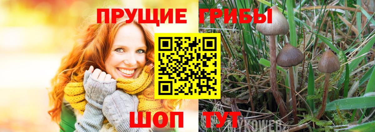 Псилоцибиновые грибы мухоморы  Чайковский 