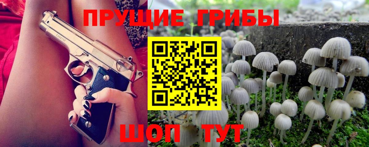 Псилоцибиновые грибы GOLDEN TEACHER  Вход с VPN  Чайковский 
