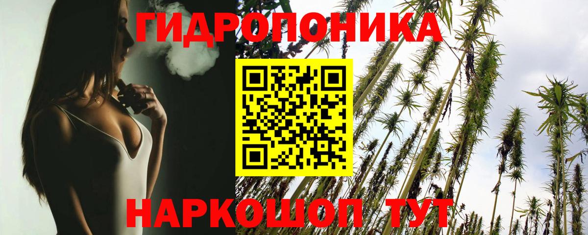 Бошки марихуана конопля  Канабис Bruce Banner  Вход с VPN  Чайковский 